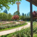 parque-fiesta-del-arbol-albacete